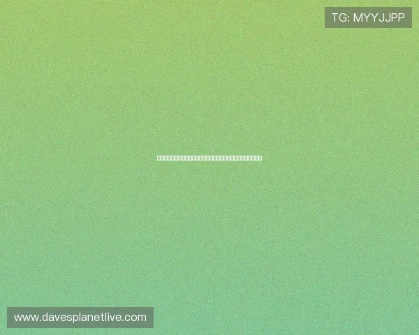 比利时对阵伊朗世界杯比赛结果预测：双方实力对比与赛场表现分析
